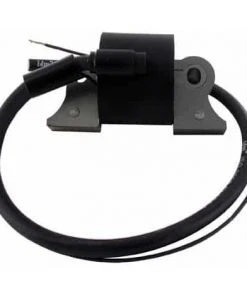 Bobine D'allumage LOMBARDINI 1567-017 - Accessoire Pour Motobineuse | Universel