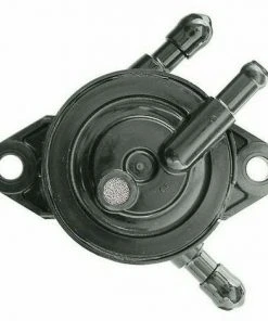 Pompe à Essence Moteur Lombardini 4896427 pour Motobineuse
