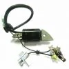 Bobine Allumage Moteur Honda G150 | Accessoire Pour Motobineuse | Pièce de Rechange Originale