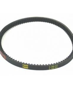 Courroie Motobineuse HUSQVARNA GROUP pour Bestgreen et Mac Allister - Accessoire Essentiel